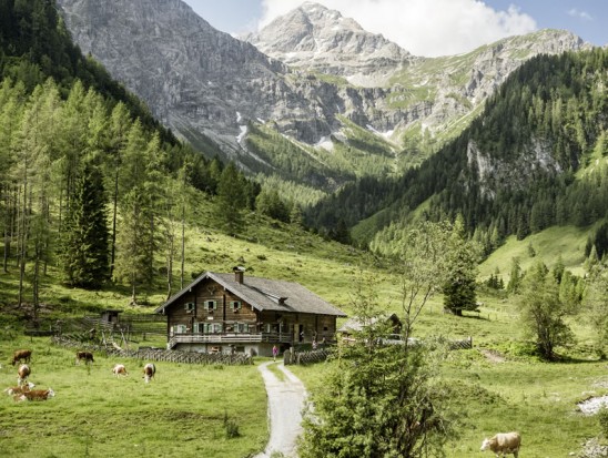 Wandern im Marbachtal zum Ennsursprung in Flachauwinkl